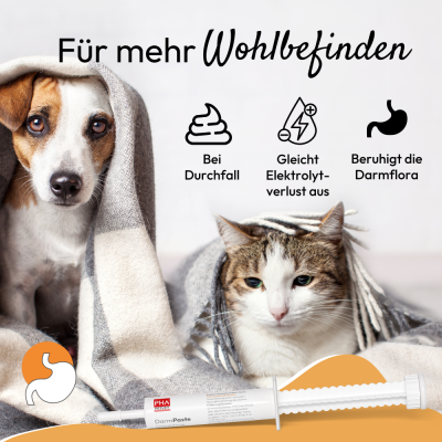 Thumbnail 1: PHA PetVet - PHA DarmPaste für Hunde und Katzen 15 ml - DurchfallStopp für Hunde und Katzen - Linderung akuter Resorptionsstörungen des Darms, bei und nach akutem Durchfall