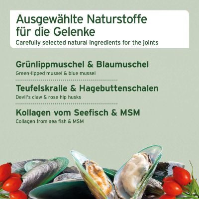 Thumbnail 3: AniForte Gelenk Snack