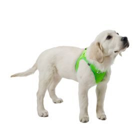 dogogo Softgeschirr für Hunde