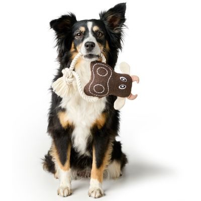 Thumbnail 1: HUNTER Hundespielzeug Nebraska Kuh mit Tau 25 cm