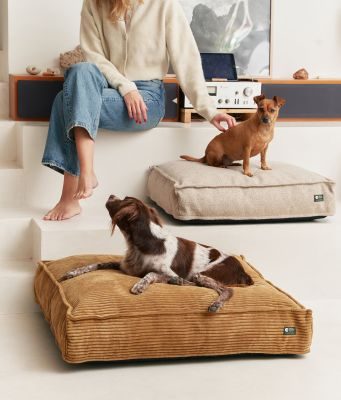 Thumbnail 6: CAFIDE Hundebett, Cuadra