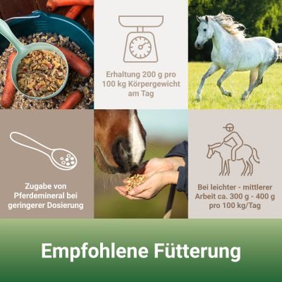 Thumbnail 2: PANTO Seniormüsli mit Wisan-Lein 20kg 20kg