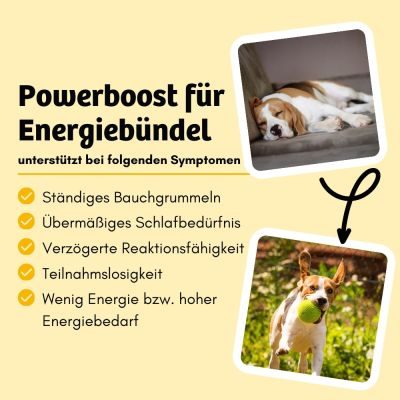 Thumbnail 6: BugBell High Energy Trockenfutter mit Insekten für Sporthunde