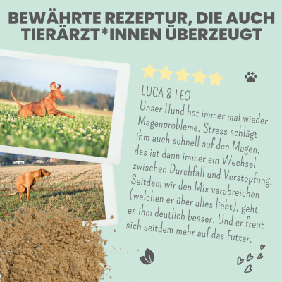 Thumbnail 8: Noms+ Verdauungsmix für Hunde & Katzen als Probiotikum für Magen- & Darmflora