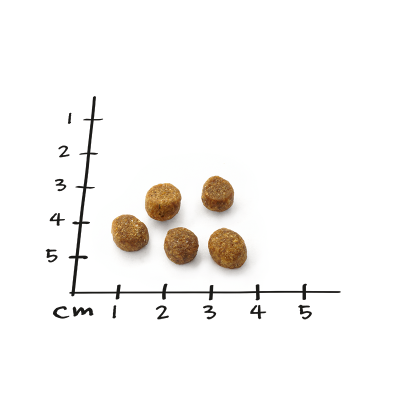 Thumbnail 2: NutriQM Adult Trockenfutter mit ITW-Siegel | für ausgewachsene Katzen | Nutriness Huhn 5 x 800g | ohne Zucker, Gluten & künstliche Zusätze