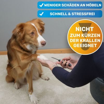 Thumbnail 3: BluePet Robuste Krallenfeile & Nagelfeile für große Krallen