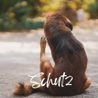 Thumbnail 5: TJURE TJURE - Leber Liquid - 500 ml | liefert deinem Hund wertvolle Bitterstoffe und Kräuter