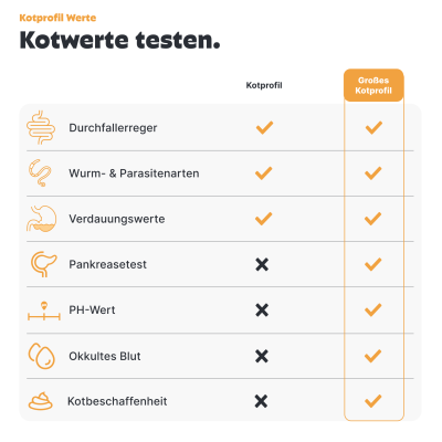 Thumbnail 2: Pezz Großes Kotprofil für Hunde - 7in1 Test für eine ganzheitliche Kotanalyse