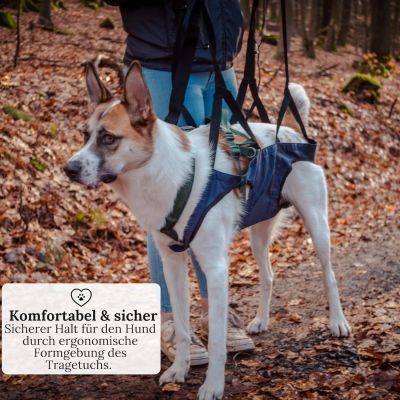 Thumbnail 6: Wanderpfote Wanderpfote Tragehilfe für Hunde – Notfallrucksack bei Wanderungen oder Tragetasche Hund im Alltag bei Treppe - Klein, Leicht, Robust, Hochwertig - Tragetuch Hund, Hundetasche (S)