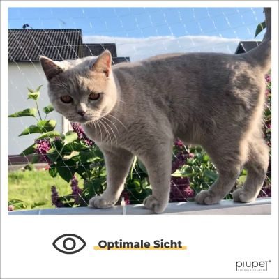 Thumbnail 4: PIUPET Katzennetz I transparent I inklusive Montagematerial I Katzennetz für Balkon | 8 x 3 m