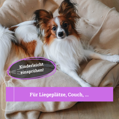 Thumbnail 5: BeG Buddy Umgebungsspray Relax Hunde / Katzen