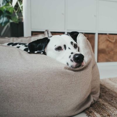 Thumbnail 8: HUNTER Hundesofa Livingston L (100 x 75 cm), beige