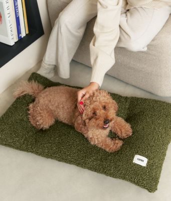 Thumbnail 4: CAFIDE Teddyfell-Hundebettkissen, Bela