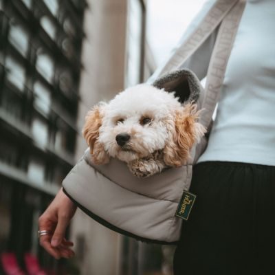 Thumbnail 3: HUNTER 2-in-1 Hunde-Tragetasche und Decke Seoul 45 x 22 x 24 cm, greige