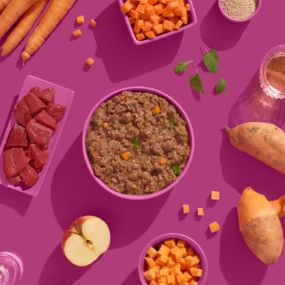 Thumbnail 4: FRED & FELIA FELIA Katzennassfutter Pferd 10x 190g