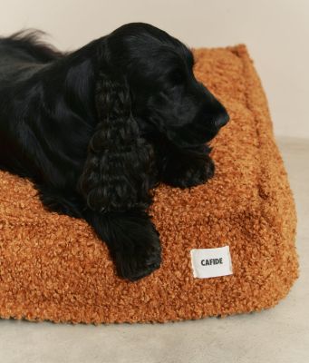 Thumbnail 4: CAFIDE Teddyfell-Hundebett, Cuadra