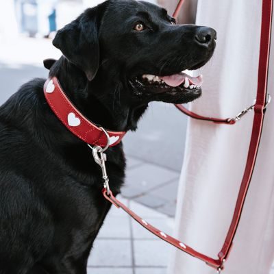 Thumbnail 9: HUNTER Halsband Love S-M (50), rot/schwarz