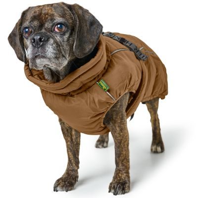 Thumbnail 6: HUNTER Hundemantel Paxson Mops & Co. 44, karamell