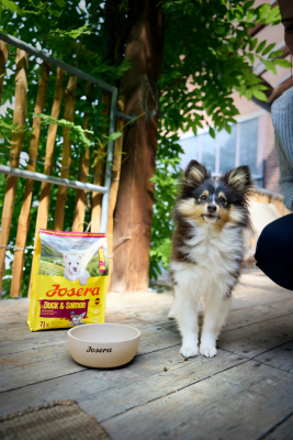 Thumbnail 2: Josera Mini Junior Duck & Salmon 3kg