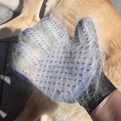 Thumbnail 4: INT4BELUA Fellpflegehandschuh für Hunde & Katzen – sanft & effektiv