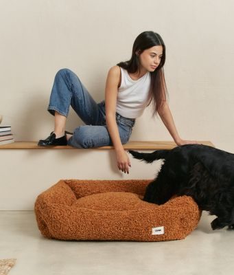 Thumbnail 3: CAFIDE Teddy-Hundebett, Snozy