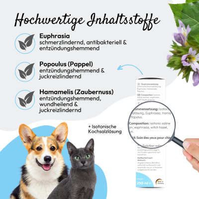 Thumbnail 6: PHA PetVet - PHA AugenPflege für Hunde u. Katzen 20 ml - Sanfte Reinigung & Pflege empfindlicher Augen, gegen Verkrustungen, Kratzen, Tränenstein & Reizungen