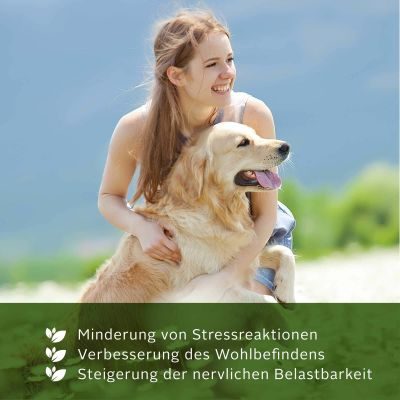 Thumbnail 3: TJURE TJURE - Leber Liquid - 500 ml | liefert deinem Hund wertvolle Bitterstoffe und Kräuter