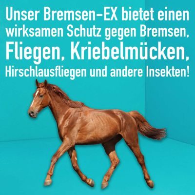 Thumbnail 4: Greenhero Bremsen-Ex schützt das Pferd vor Insekten