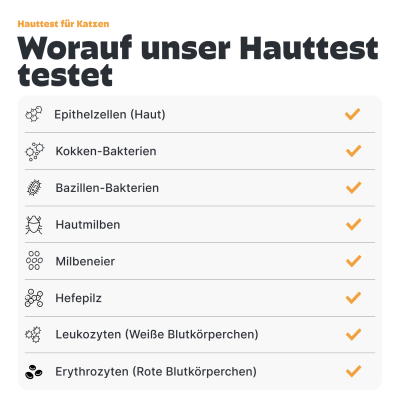 Thumbnail 4: Pezz Katzen Hauttest | Bei gereizten, juckenden oder riechenden Hautstellen