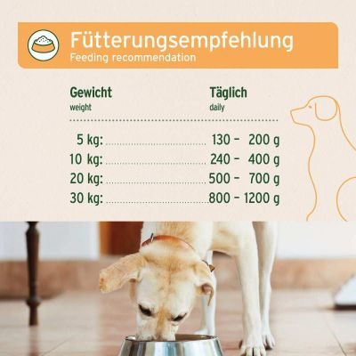 Thumbnail 6: AniForte Nassfutter LandChicken – "Huhn mit Möhren" 6 x 800 g