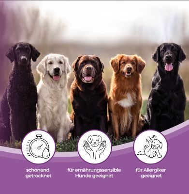 Thumbnail 7: mascota vital Lungenwürfel von der Ziege, Hundeleckerli, 200 g