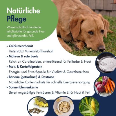 Thumbnail 5: Dr.Clauder’s Pigment Aktiv Möhren Pellets 600g