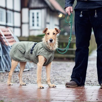 Thumbnail 3: HUNTER Hundemantel Uppsala Trend 45, khaki
