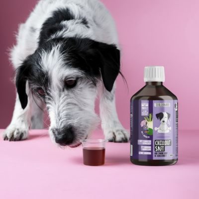 Thumbnail 2: Tierliebhaber Chilloutsaft für Hunde - Natürliche Beruhigungshilfe für Hunde