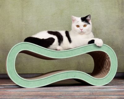 Thumbnail 2: cat-on SINGHA M Design Katzenmöbel, Hemlock mintgrün