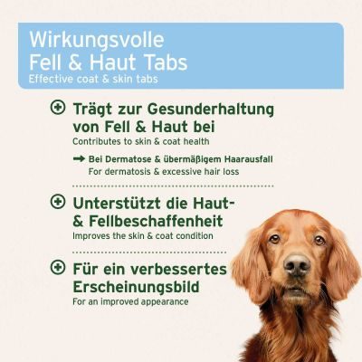Thumbnail 2: AniForte AniForte® plus Fell & Haut