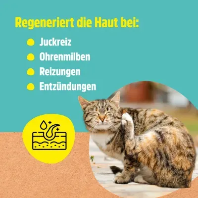 Thumbnail 3: Greenhero Ohrenwunder pflegt das Ohr bei Ohrenmilben