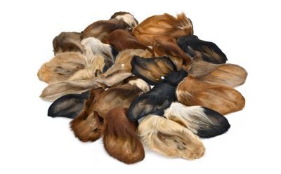 Thumbnail 2: Kaureks Natur Hundeleckerlies Rinderohren mit Fell und Muschel  20 Stk