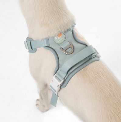 Thumbnail 5: SimplePets Alltagsheld-Geschirr in Pastel Mint