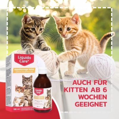 Thumbnail 1: LiquidoCare Appetitanreger für die Katze - hochkalorisches Tonikum mit Vitaminen & Taurin – für schlecht fressende Katzen, leicht verdaulich & schmackhaft 180 ml