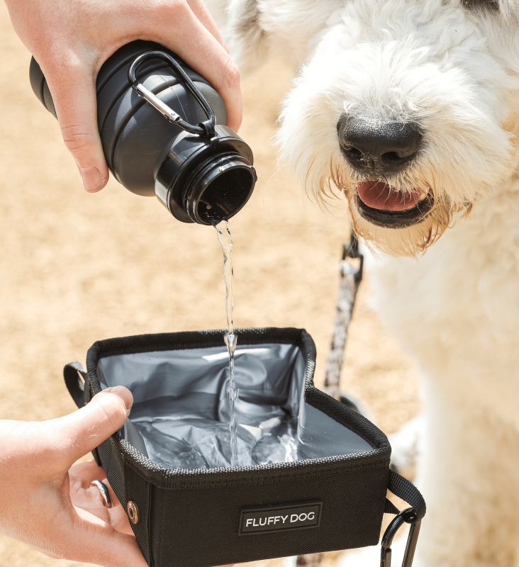Fluffy Dog Faltbarer Hundenapf – 700 ml, wasserdicht & vegan, mit Karabiner für unterwegs