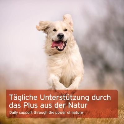 AniForte Hagebuttenpulver