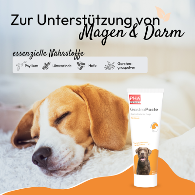 Thumbnail 2: PHA PHA GastroPaste für Hunde - 100 ml - Nahrungsergänzung - Futterergänzung