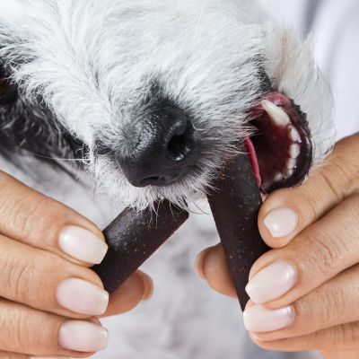 Thumbnail 2: Tierliebhaber Darmwohl Sticks für Hunde - Natürlicher Darmaufbau. Für schöne, feste Häufchen. Bei akutem Durchfall