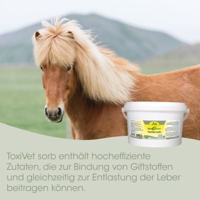 Thumbnail 2: cdVet EquiGreen ToxiVet sorb 5 kg - Ergänzungsfutter zur Toxinbindung bei stoffwechselempfindlichen Pferden