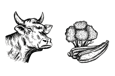 Thumbnail 3: Schnauze & Co. 6x Dosenfutter® RIND & GEMÜSE 400 g