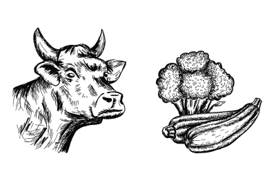 Thumbnail 4: Schnauze & Co. 800 g