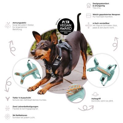 Thumbnail 5: Hey Lana Premium Hundegeschirr Gepolstert - mit Reflektoren und Haltegriff M / Pink / Beige