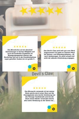 Thumbnail 4: Equanis Devil´s Claw – Teufelskralle Pferd