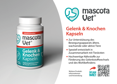 Thumbnail 2: mascota vet Gelenke & Knochen, Ergänzungsfuttermittel für Hunde & Katzen mit Eierschalen, tierärztlich entwickelt, 30 Kapseln